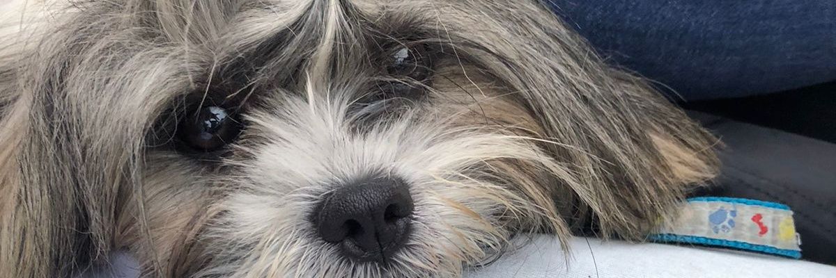 rayduarteaa's profile banner image