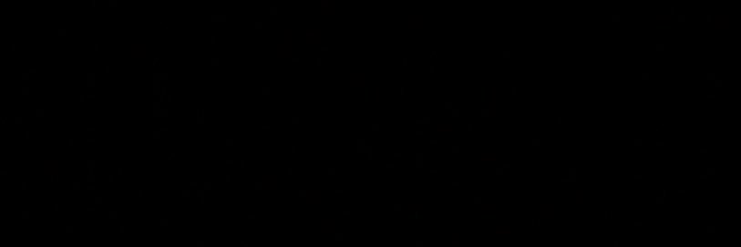 ellxprt's profile banner image