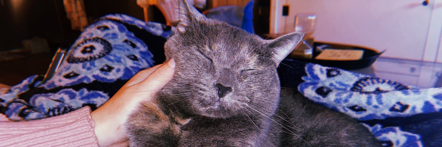 _MollyMargaret_'s profile banner image