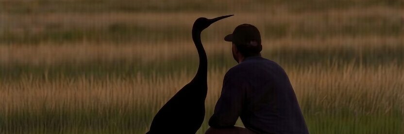 🇺🇸 Dave 🇺🇸 banner