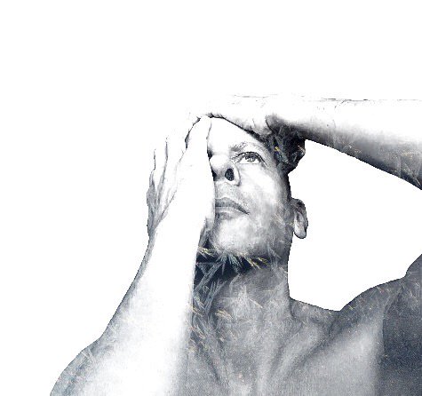 RichardSprok's profile banner image