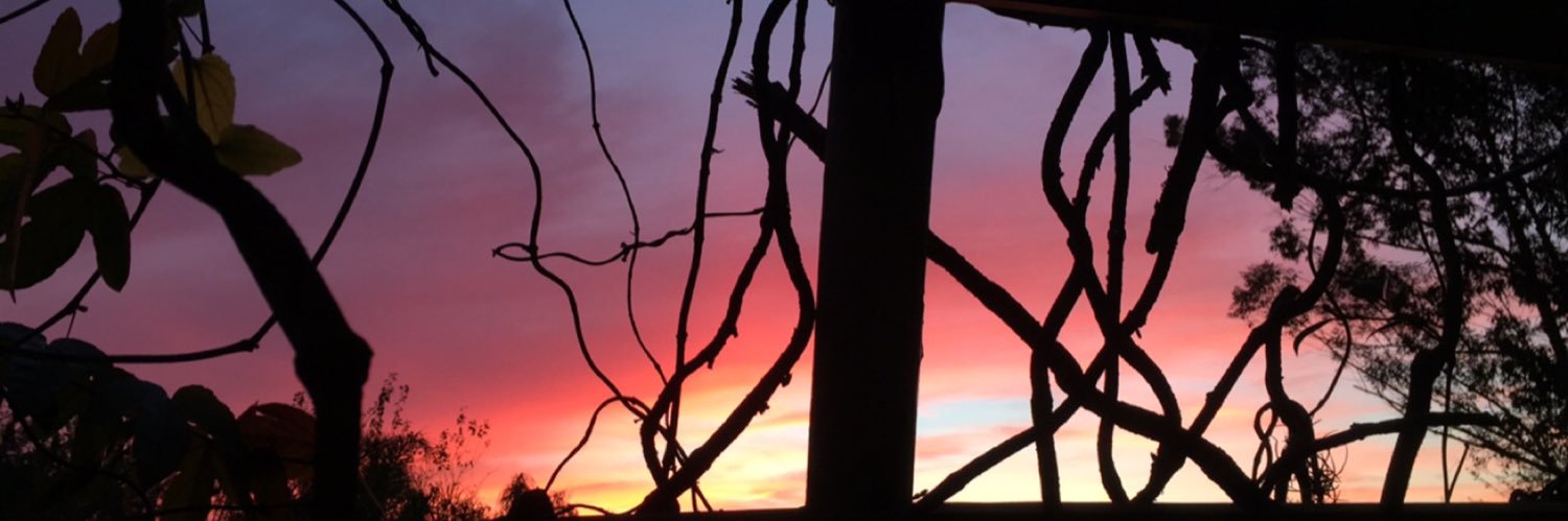 letsib's profile banner image