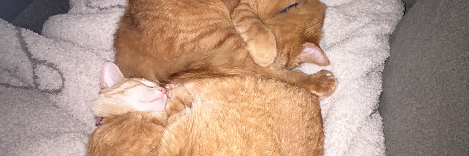 Cede McDrummond banner