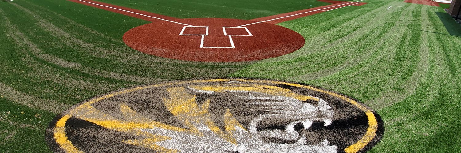 Festus Vars Softball banner