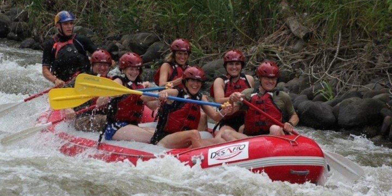 Candy Sheehan banner