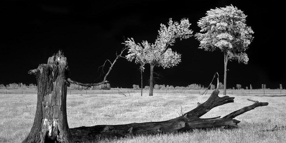 newstarvation's profile banner image
