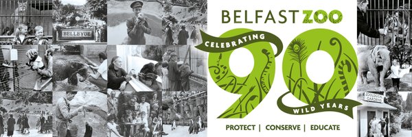 Belfast Zoo Profile Banner