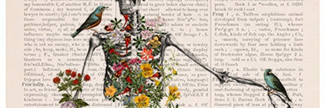 AlejandroGrea's profile banner image