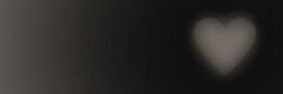 FINA banner