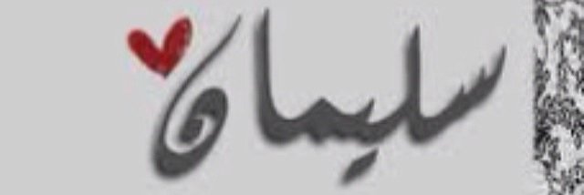 sllleman's profile banner image