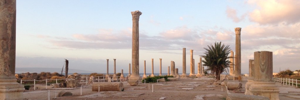 Miled Rousset banner