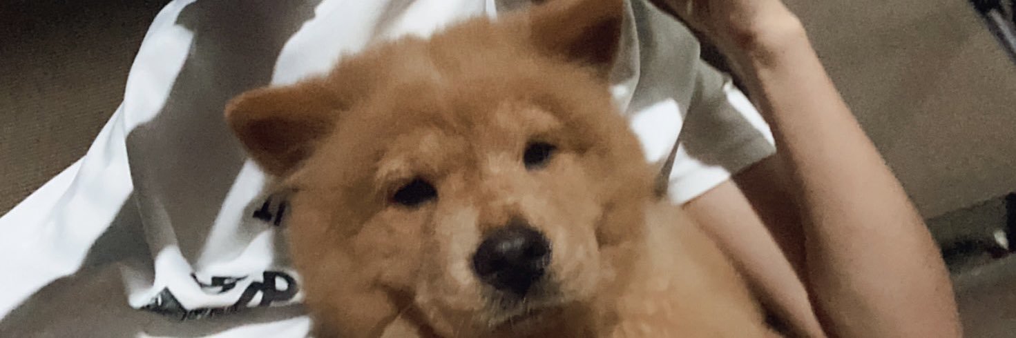 xbxdxdbb's profile banner image
