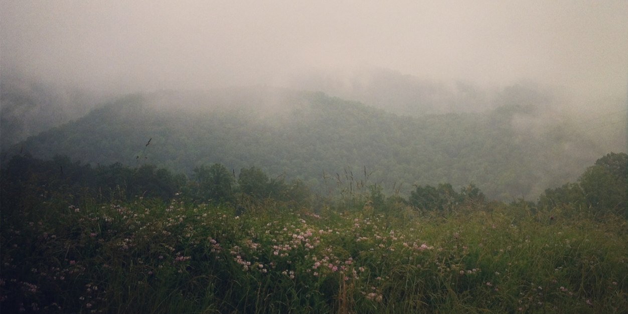Moviedude44's profile banner image