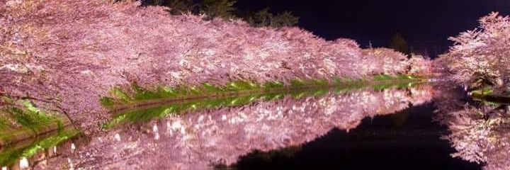 鋼鐵蜘蛛人 banner