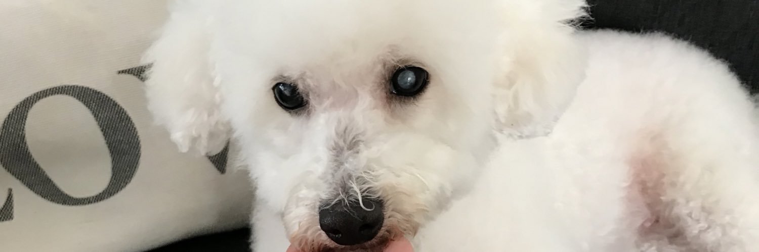 Candebud's profile banner image