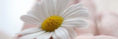 سمو الروح banner