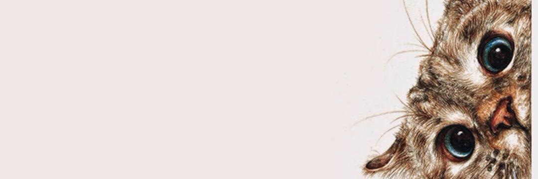 aisyahafandi92's profile banner image