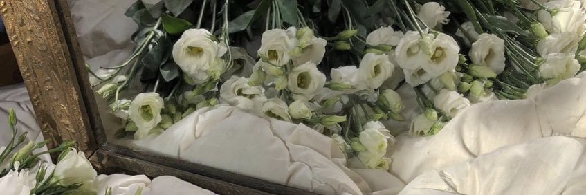 fofohoho4's profile banner image