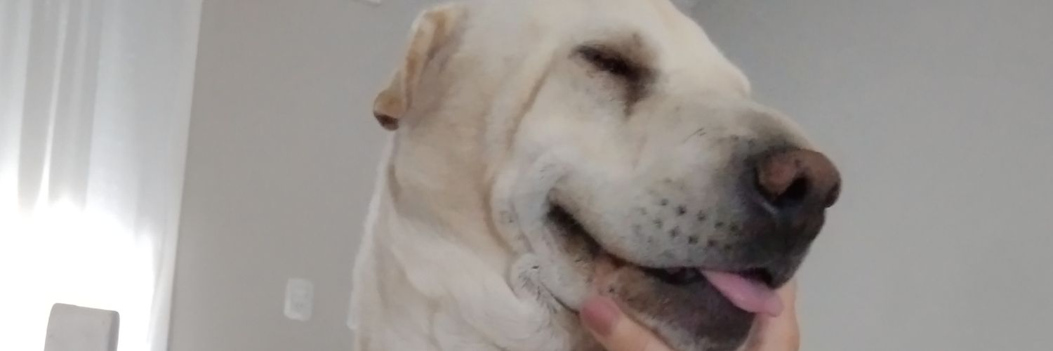 sofiiiferreyra's profile banner image