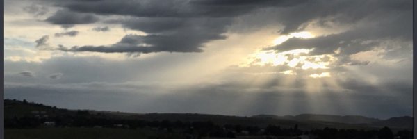 carpedave Profile Banner