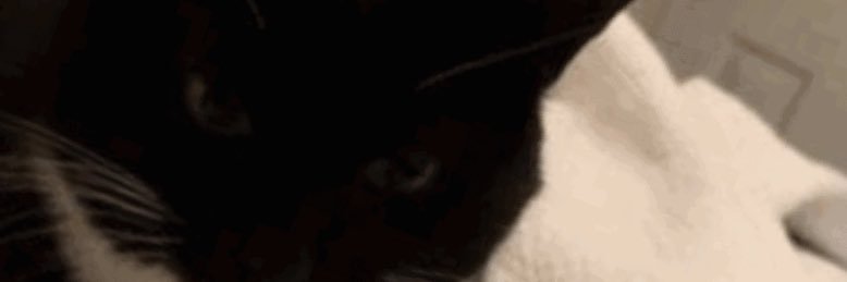 colerickbone's profile banner image
