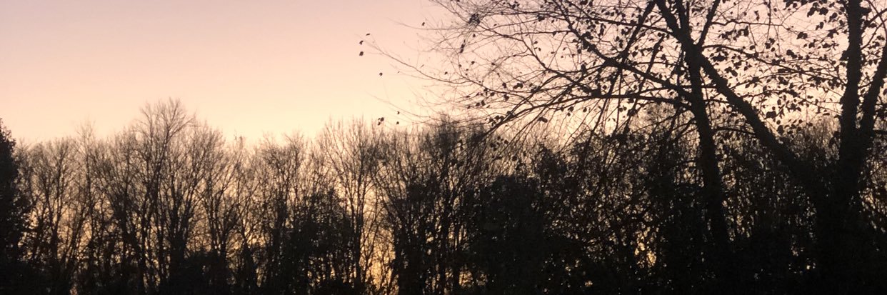 angfulller's profile banner image