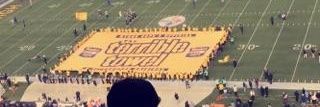 jfblues15's profile banner image