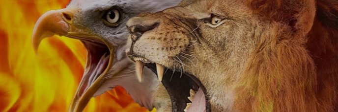 shingles1975's profile banner image