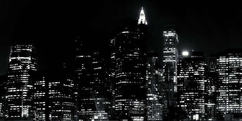 WildClothID's profile banner image