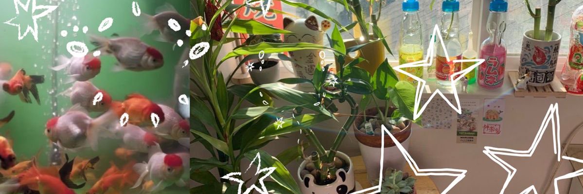 котёнок злючка 🍓🐶/🐾🐉 banner