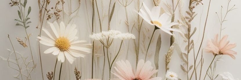 amarisvidal's profile banner image