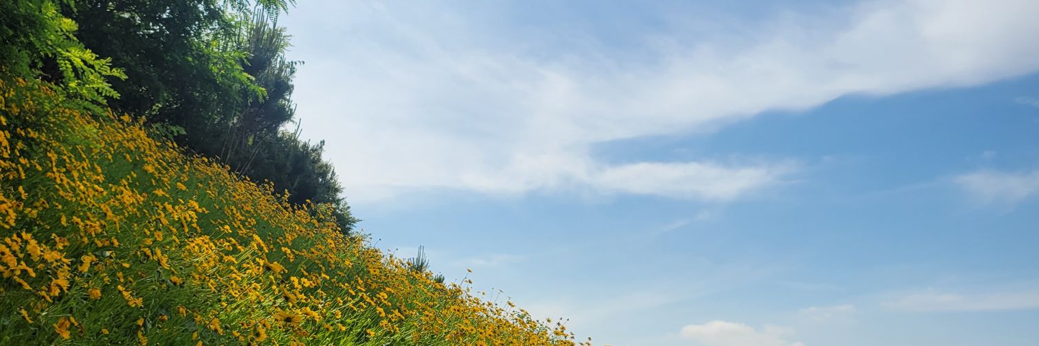 AntiControl banner