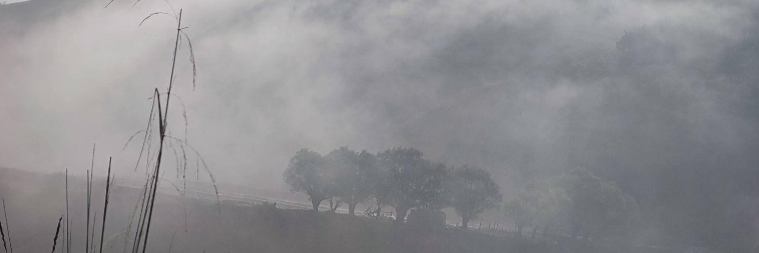 dngxnl72098's profile banner image