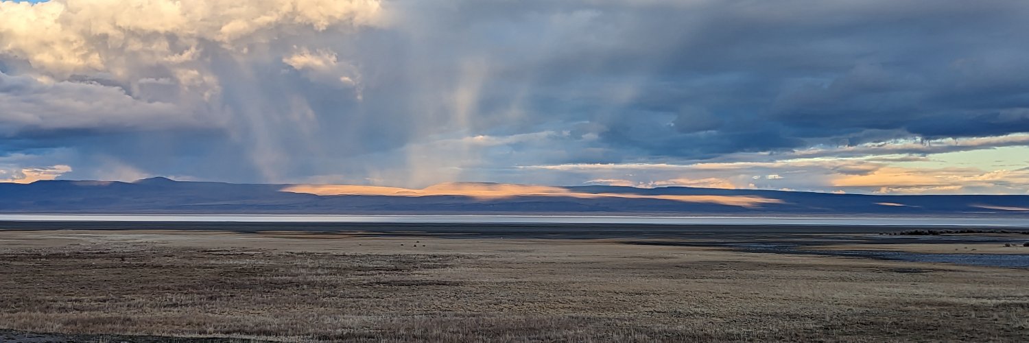 Ray Stein banner