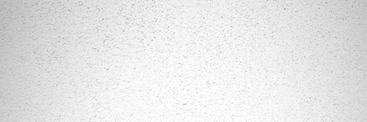 vwibwn's profile banner image