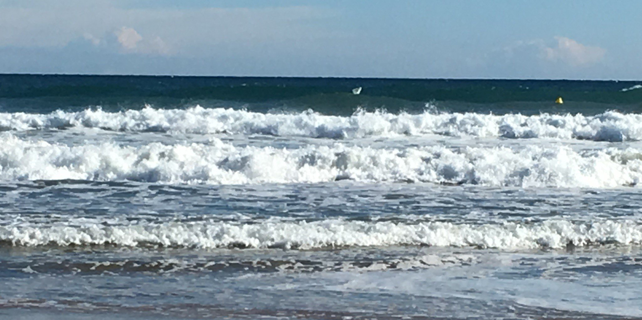 Reinhard Schirmer banner