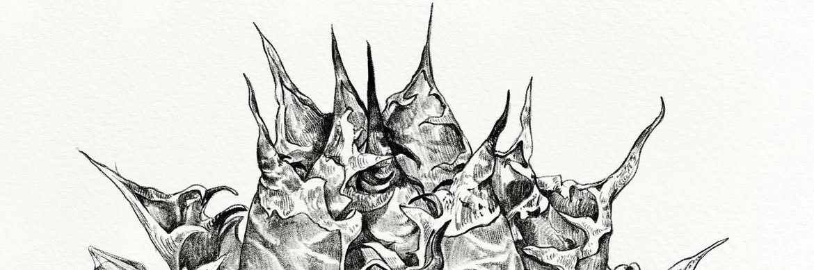 Taknoah's profile banner image