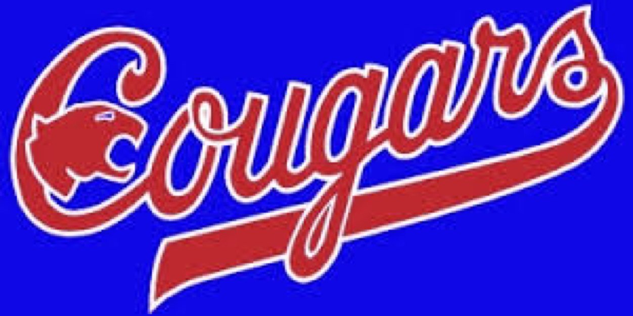 David Crockett banner