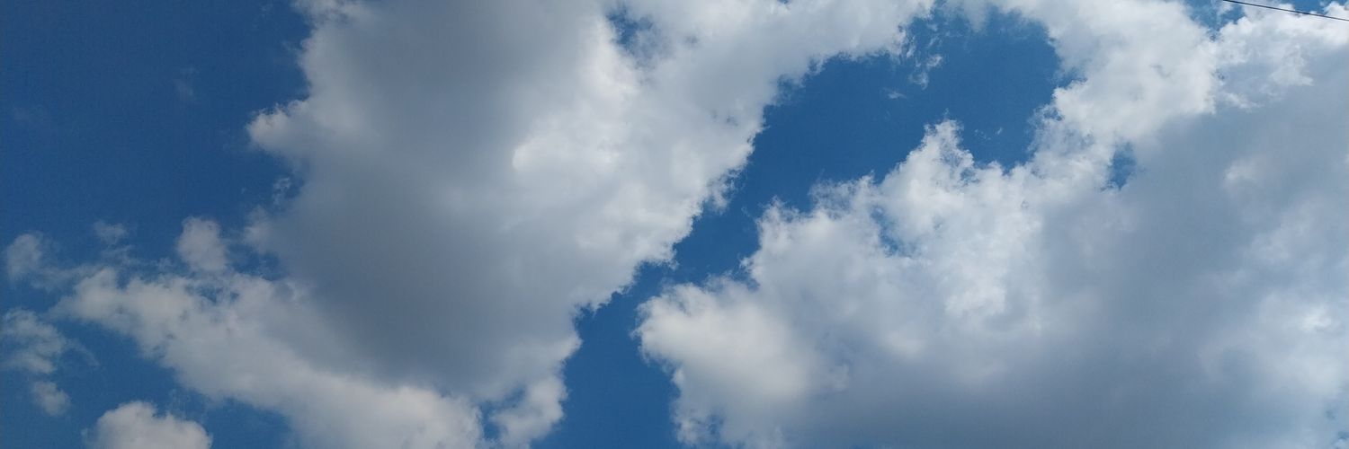 angi banner