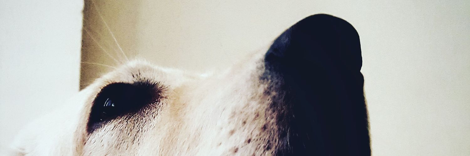 thecomebackhero's profile banner image