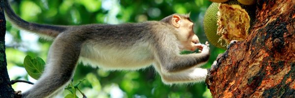 albinjames Profile Banner