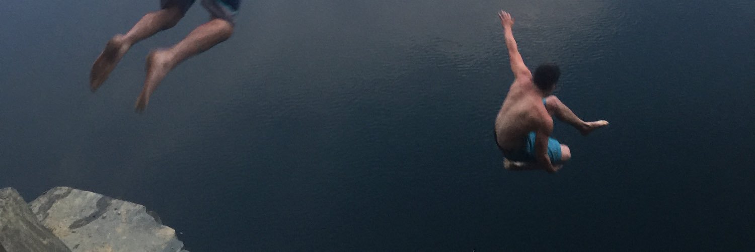 willaldridge0's profile banner image