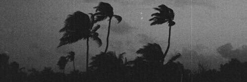 vinovasu's profile banner image