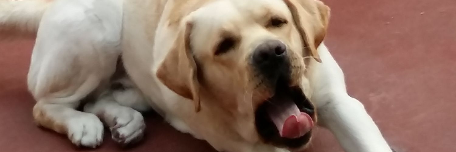 heroinfather97's profile banner image