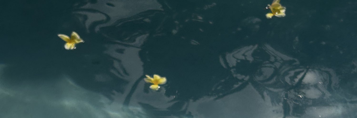 pimpcessjuju's profile banner image