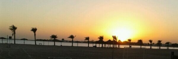 MOEYII Profile Banner