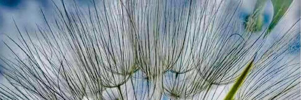 FeelGoodShareGood banner