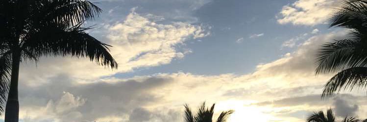 jagger_garguilo's profile banner image