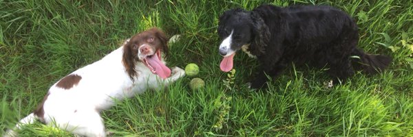 bobdigby Profile Banner