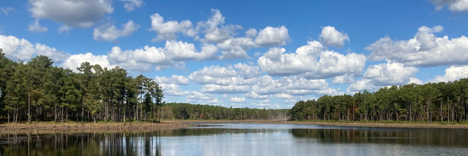 RossVertrees's profile banner image